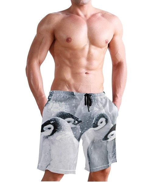 Board Shorts Bearded Dragon Lizards Swim Trunks Summer Beach Shorts Pockets Boardshorts Men Mesh Lining - Cute Snowing Pengui...