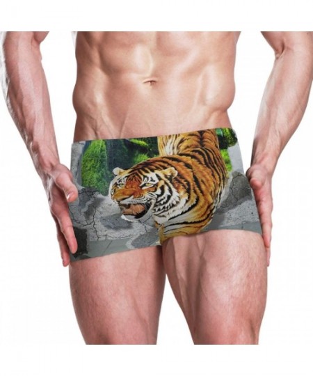 Briefs Tiger Art King Men Swimming Underwear Beach Shorts Pants Swimwear Bathing Suits Briefs for Summer Teen Boys - CL18WZXDD66