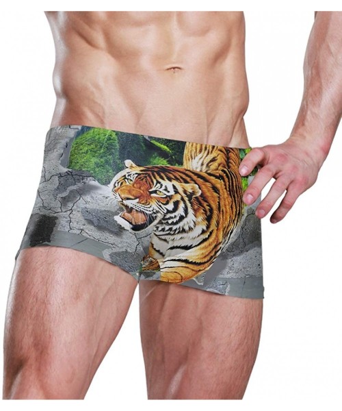 Briefs Tiger Art King Men Swimming Underwear Beach Shorts Pants Swimwear Bathing Suits Briefs for Summer Teen Boys - CL18WZXDD66