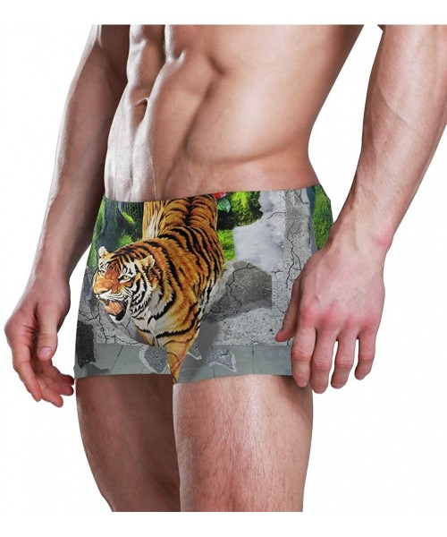 Briefs Tiger Art King Men Swimming Underwear Beach Shorts Pants Swimwear Bathing Suits Briefs for Summer Teen Boys - CL18WZXDD66