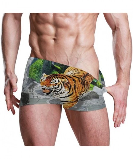 Briefs Tiger Art King Men Swimming Underwear Beach Shorts Pants Swimwear Bathing Suits Briefs for Summer Teen Boys - CL18WZXDD66