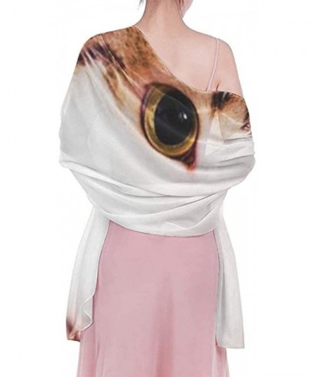 Cover-Ups Women Girl Beach Bikini Cover Up Chiffon Sarong Fashion Scarf Shawl Wrap - Lovely Kitten Cat Satchel - C3190HKHTLO