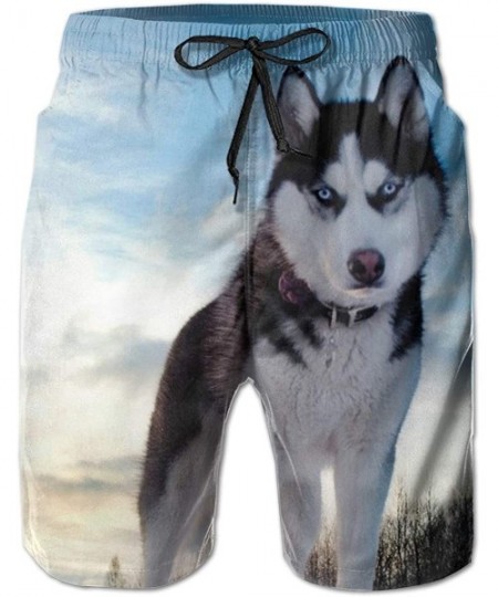 Board Shorts Men Bathing Suit Swim Trunks Quick Dry Beach Shorts - Need to Go Camping Black - Husky Dog - CV18WL6W5EG