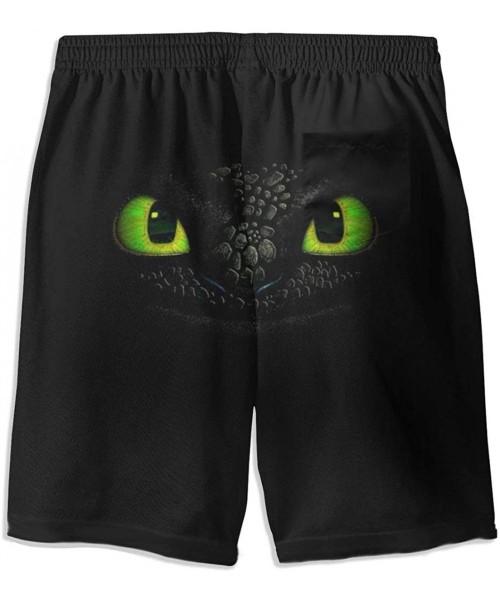 Board Shorts Men Boys Swim Trunks Quick Dry Beach Board Shorts Beach Shorts - How to Train Your Dragon 2 - CC197HM08IR