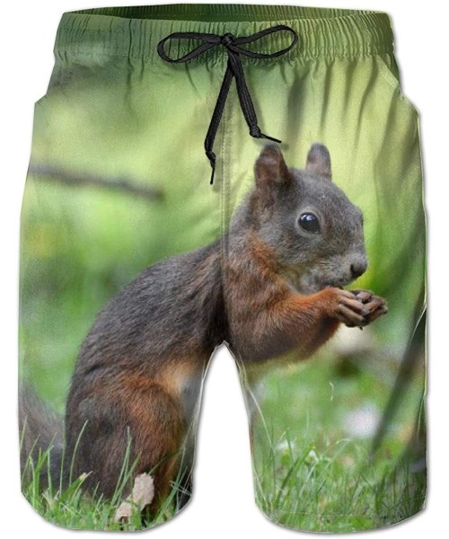 Board Shorts Men's Swim Trunks Squirrel On Green Glasses Surfing Beach Board Shorts Swimwear - C318TIMXZXR