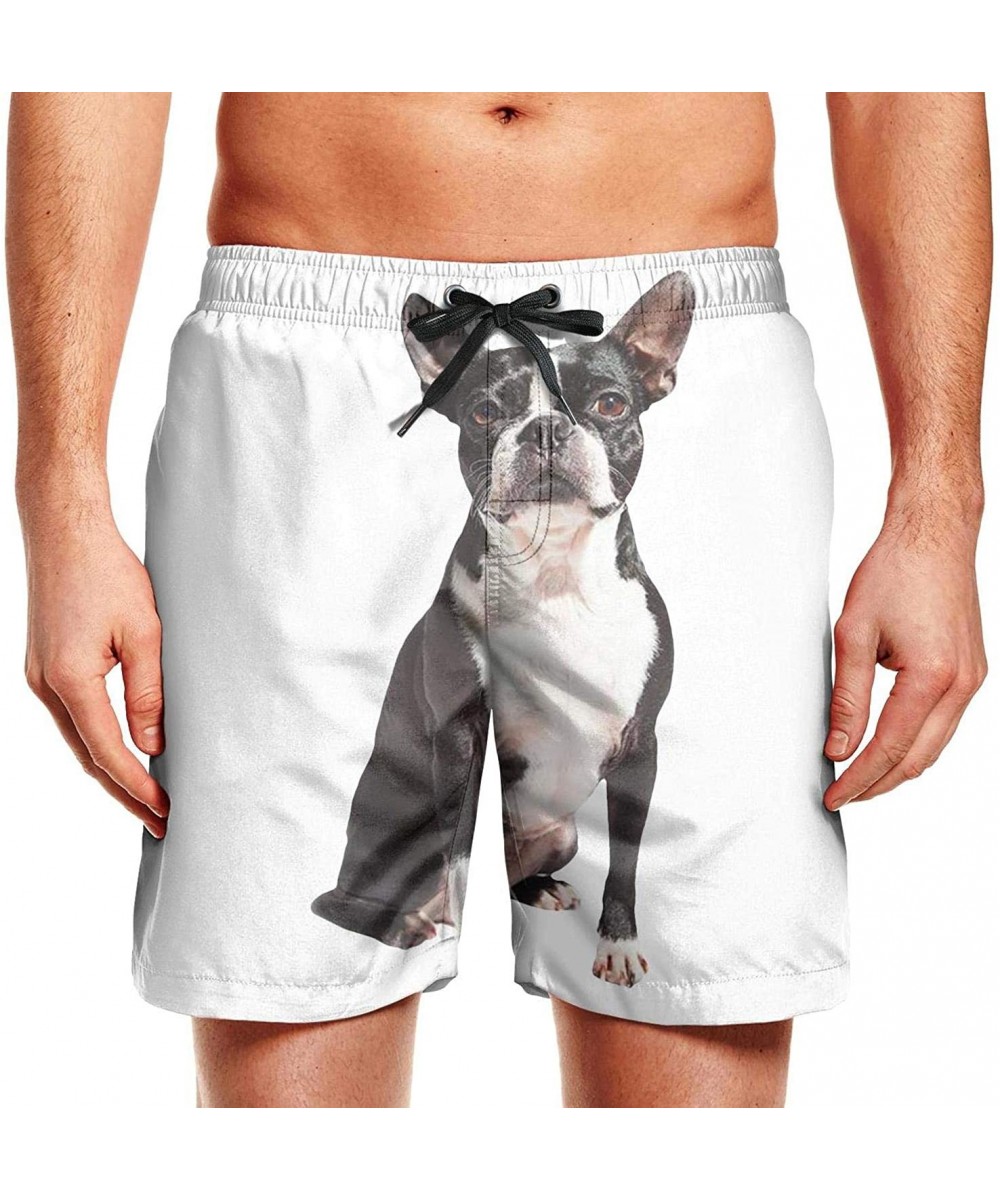 Board Shorts Men's Board Shorts Quick Dry American Eskimo Duo Swim Board Trunks - Boston Terrier - CM18T2ME5NW