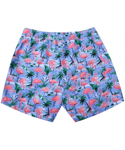 Trunks Mens Swimwear Flamingo Boardshort-Many and Various Prints Shorts-Swim Trunks with Mesh Lining and Pockets - 5 Flamingo...