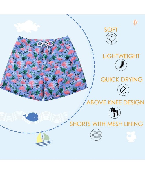 Trunks Mens Swimwear Flamingo Boardshort-Many and Various Prints Shorts-Swim Trunks with Mesh Lining and Pockets - 5 Flamingo...